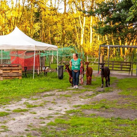 Glamping Z Alpakami Hotell Jankowice  Exteriör bild