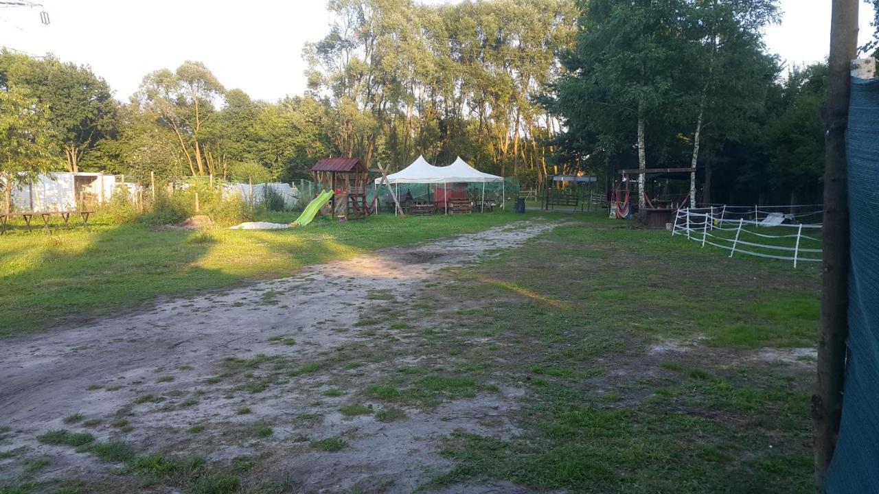 Glamping Z Alpakami Hotell Jankowice  Exteriör bild