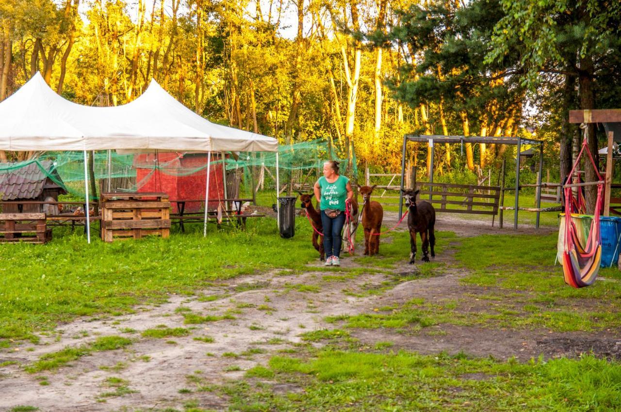 Glamping Z Alpakami Hotell Jankowice  Exteriör bild